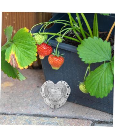 EXCEART 4pcs Heart Strawberry Mold Clear Fruit Vegetable Grow Shaping Melon Accessory Heart-shaped - Buy Online on GoSupps.com