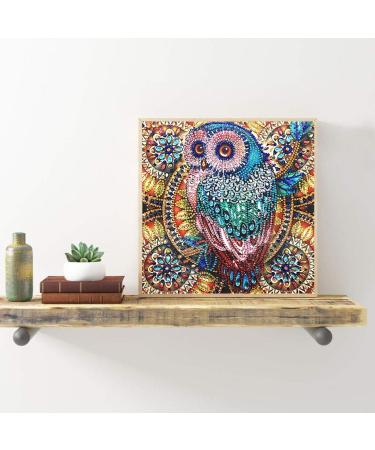 Hibah 5D Owl Partial Diamond Painting Set - Mandala Design | Special Shape Rhinestone DIY Kit - Buy Online on GoSupps.com