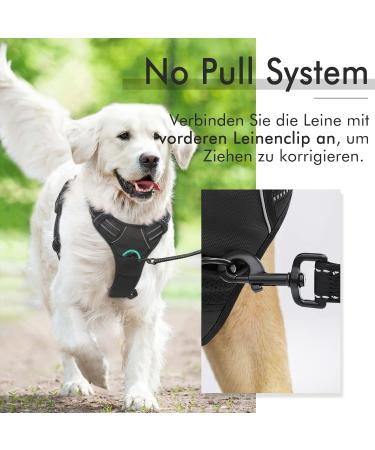 Rabbitgoo No-Pull Dog Harness for Large Dogs - Adjustable Padded Control Chest Harness - Black XL - Safe and Comfortable Puppy Dishes (1 Pack) - Buy Online on GoSupps.com