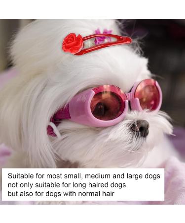 GLOGLOW Dog Clips | Safe Hairpins for Dogs | Fashionable Pet Party Supplies - Buy Online on GoSupps.com