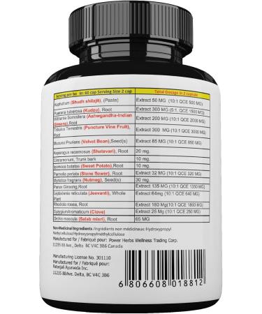 Shilajit Power Extra to Provide Extra Power with Shilajit and 14 other Herbs - Buy Online on GoSupps.com