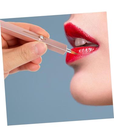 Buy Minkissy Lip Makeup Brush - Retractable Lipstick Applicator & Concealer Wands for Women - Double Head Plastic Lip Brush for Perfect Lip Gloss Application - Buy Online on GoSupps.com
