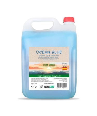 INTERCABO- Hair & Body 2in1 Ocean in a 5L refill bottle | 2in1 washing lotion bottle with practical spout | Shower gel and shampoo in refill pack