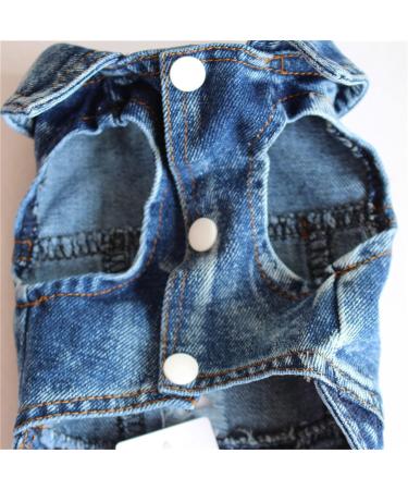 AMAONE Leopard Bowknot Dog Coat for Chihuahuas - Winter Jacket for Small Dogs - One Size Rosa 0207FRBKB-Blue C - Buy Online on GoSupps.com