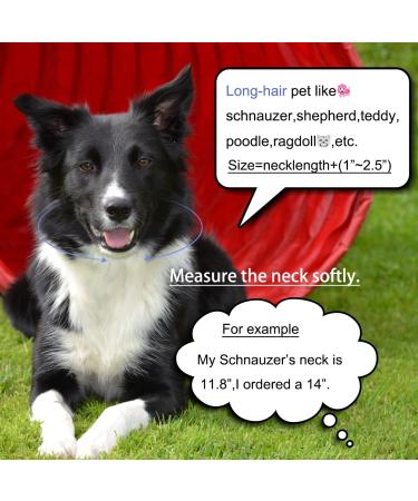 Gold Dog Collar puppy Zircon 14mm Cuban Link Chain 16" Handmade Iced out Diamond Exaggerated Clasp Full Cz Prong Set Pet Jewelry - Buy Online on GoSupps.com