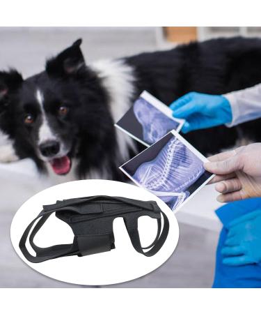 Dog Back Bandage for Arthritis & IVDD - Surgical Recovery & Rehabilitation Support | Prevent Back Disease - Buy Online on GoSupps.com