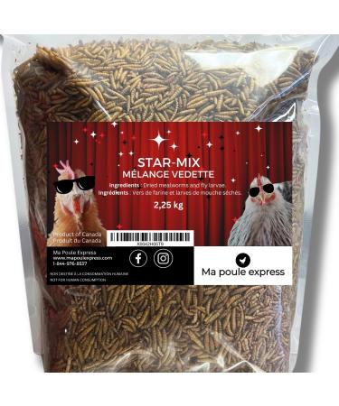 Premium Dried Mealworms & Fly Larvae Mix for Chickens and Wild Birds 5 LBS (2.25 KG) - Ma Poule Express