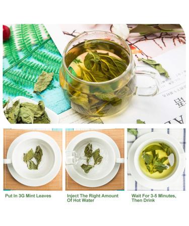 100% Organic Peppermint Tea - Health Benefits & Traditional Flavor - 30g | Global Shipping - Buy Online on GoSupps.com