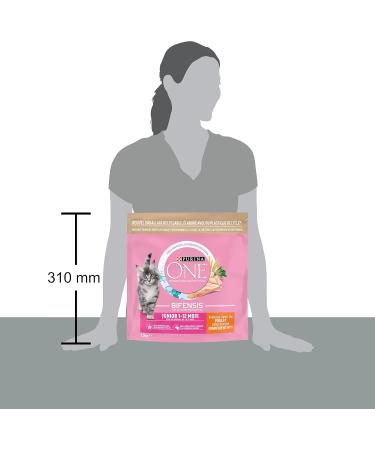 PURINA ONE Bifensis Junior | Chicken Kitten Dry Food | 1.5 kg Bag | Pack of 6 - Buy Online on GoSupps.com