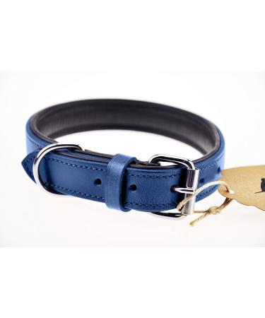 Luxury Leather Sniffing Fans Dog Collar - Padded Design for Medium Large & Small Dogs (L - 36-45cm Blue) - Buy Online on GoSupps.com