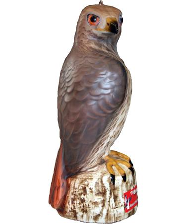 Bird B Gone MMRTH1 Hawk Decoy - Effective Bird Control Solution - Buy Online on GoSupps.com