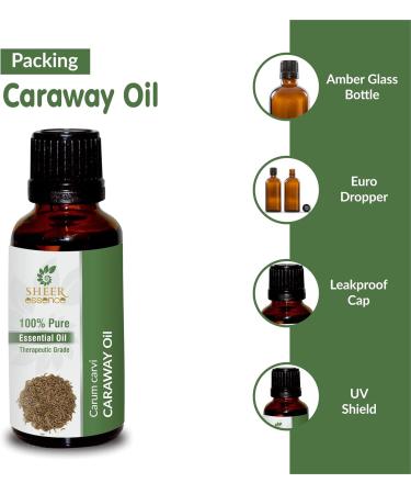 Caraway Oil -(Carum Carvi) -Essential Oil 100% Pure Natural Undiluted Uncut Therapeutic Grade Oil 1.01 Fl.OZ 1.01 Fl Oz (Pack of 1) - Buy Online on GoSupps.com
