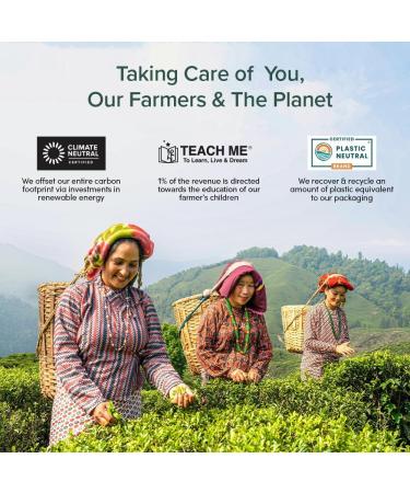 Vahdam Variety Tea Trial Set - 25 Flavors 50 Pieces | Green Herbal Black Chai - Perfect Gift for Tea Lovers | Langblatt Pyramid Tea Bags - Buy Online on GoSupps.com