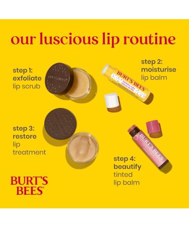 Burt's Bees Burt's Bees Birthday Cake Scented Lip Balm moisturizing lip care with beeswax and vitamin E 100% natural origin 4.25 g - Buy Online on GoSupps.com