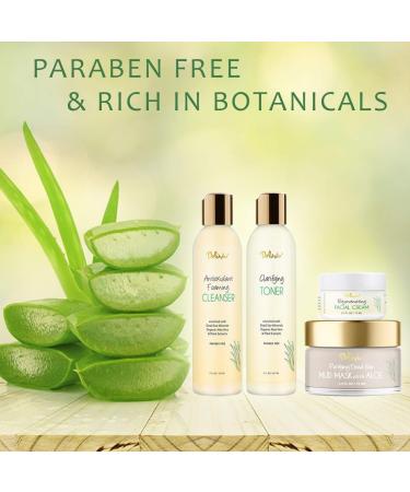 Deluvia Skin Care Set - Travel Size Deluxe Facial Kit | Gentle Foaming Cleanser Toner Moisturizer & Dead Sea Mud Mask for Radiant Skin - Buy Online on GoSupps.com
