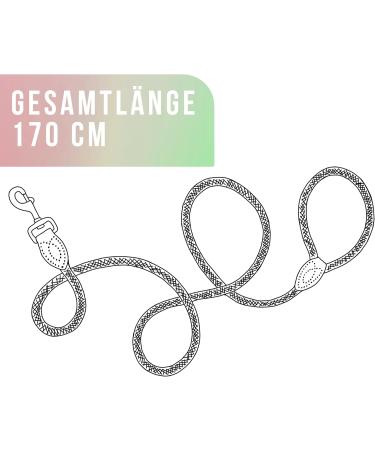 Ne & No Touleine Training Leash for Large Dogs - 1.7m Hand Loop Braided Rope City Leash in Mauve - Buy Online on GoSupps.com