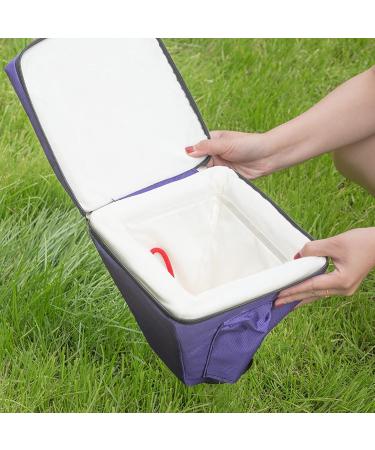 Clear Quartz Crystal Singing Pyramid (5 inch - 12 inch) Best Gift for Sound Healing Meditation - Buy Online on GoSupps.com