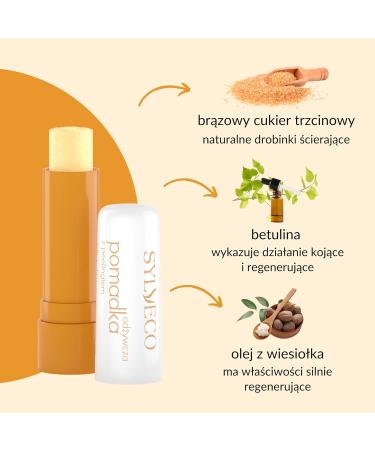 Sylveco Nourishing Lip Balm with Peeling 4.6g - Hydrating Smooth Lips | Shop Internationally - Buy Online on GoSupps.com