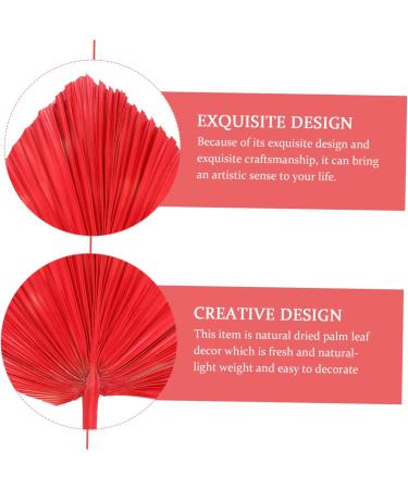 Alipis Simulated Cattail Fan Wedding Layout Palm Leaf Dried Palm Spears Home D cor Vase Art Ornament Faux Plant Italian Ruscus Woven Hand Held Fan Decor Fans Palm Leaves Hamster Monstera Red 50x28cm - Buy Online on GoSupps.com