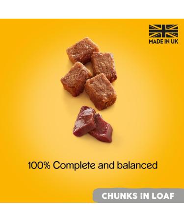 Pedigree Gelatin with Beef Wet Dog Food 24 cans of 400 g - Buy Online on GoSupps.com