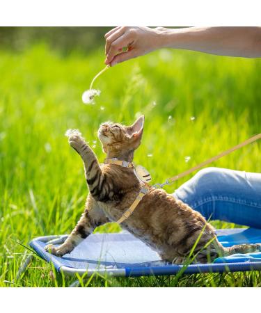 Adjustable Tiesome Cat Dishes & Leash Set | Color Gradient Outdoor Kitten Bowls - Yellow - Buy Online on GoSupps.com