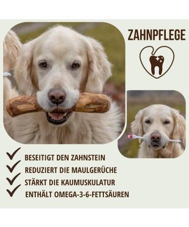 Petlove Olive Wood Chew Toy for Dogs with Salmon Oil | Long-Lasting Dental Care & Fun | Size M (100-220g) for Larger Dogs - Buy Online on GoSupps.com