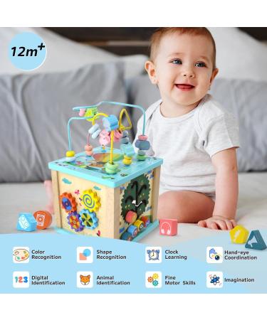 Fajiabao 5-in-1 Motor Cubes Toy for Babies (1 Year+) | Montessori Motor Skills Activity Center | Perfect Easter Gift for Young Girls - Buy Online on GoSupps.com
