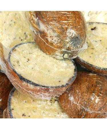 GardenersDream Suet Filled Coconut Halves | Premium Wild Bird Food | Protein-Rich High Energy Feed | Sunflower Seeds and Cereal Oat | Healthy Development for Birds | Year-Round Feeding (5 Pack) 1 count (Pack of 5) - Buy Online on GoSupps.com