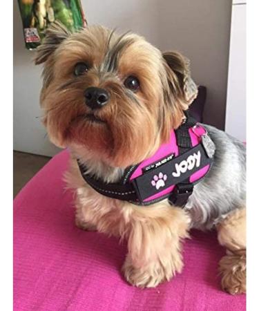 2 custom labels for julius k9 harnesses 12 x 3cm - Buy Online on GoSupps.com