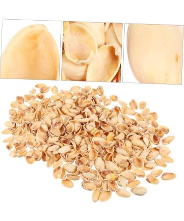 NUOBESTY 1 Pistachio Shell Kids Diy Craft Charms Turkish Diy Craft Accessories Nut Art Supplies Child - Buy Online on GoSupps.com