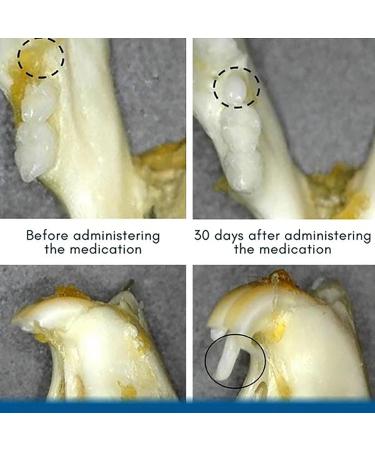 FLEDIMO AEXZR Haifisch Cartilage Protein Drops | Dental Serum for Stain Removal & Tooth Growth (3 Pieces) - Buy Online on GoSupps.com