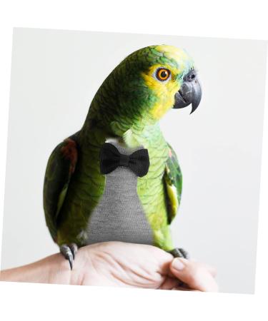 Shop Minkissy Flying Bird Diapers | Multifunctional Pet Costumes & Clothing - Gray Cotton 17x9cm - Buy Online on GoSupps.com