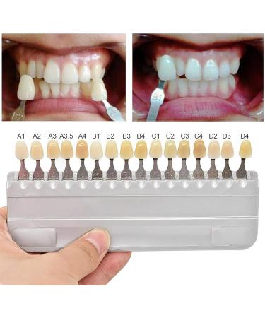 16 Colors Teeth Whitening Shade Guide | Porcelain Tooth Bleaching Chart for Professionals & Home Use - Buy Online on GoSupps.com