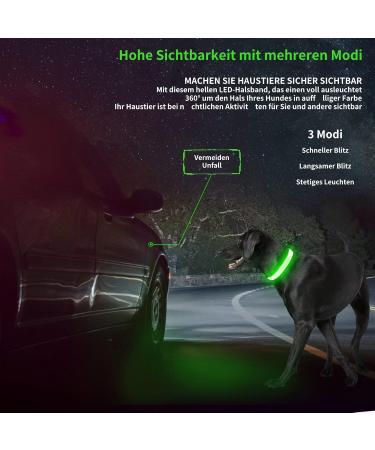 KOSKILL LED Dog Collar - Waterproof USB Rechargeable Adjustable Brightness for Medium Dogs (Green M) - Buy Online on GoSupps.com