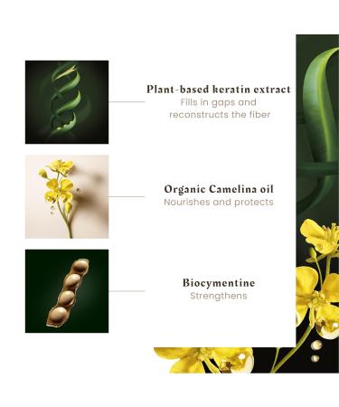 Ren Furterer - ABSOLUE KERATINE - Repairing Beauty Cream - Leave-In Treatment With Plant-Based Keratin - 100ml - Buy Online on GoSupps.com