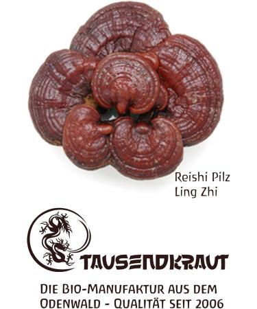 Reishi Bio Powder 200g - Premium Quality from Slovenia | Sustainable EU Production | German Brand | High Product Safety - Buy Online on GoSupps.com