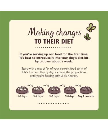 Lily's Kitchen Made with Natural Ingredients Adult Dry Dog Food Lamb Shepherd's Pie Balanced Recipe 12kg bag - Buy Online on GoSupps.com
