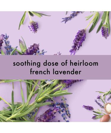 Love Beauty and Planet Soothing Spa Hand Wash with Argan Oil & Lavender | 13.5 fl oz - Buy Online on GoSupps.com