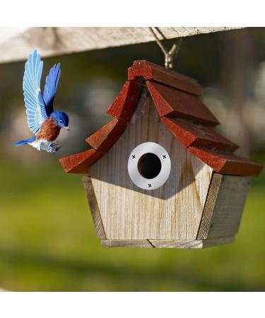 12PCS Bird Nest Box Protection Plates 32mm Wild Bird Boxes Garden Small Birds Metal Plate Birdhouses Bird Houses Robin Nest Box Sparrow Nest Box Owl Budgie Swift Stainless Steel Plate - Buy Online on GoSupps.com