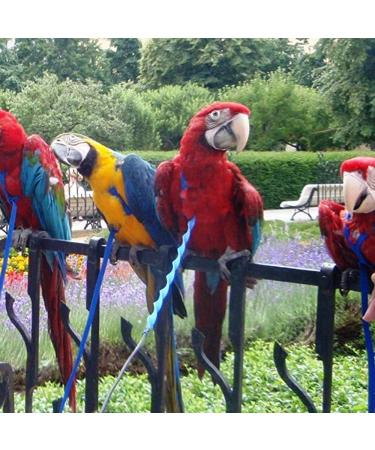 Buy Mifive Adjustable Pet Bird Dishes & Leash - Anti-Bite Training Rope for Parrots | International Shipping Available - Buy Online on GoSupps.com