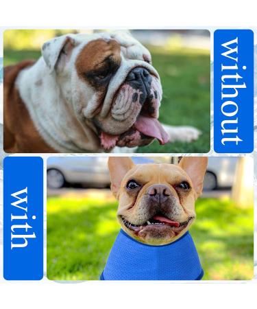 2pcs Large Dog Cooling Bandana Set - Breathable Pet Ice Scarf for Summer - Chill Out Neck Wrap Vest for Dogs & Cats (Neck Girth 16-22 inch) - Buy Online on GoSupps.com