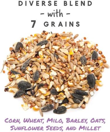 Non-GMO Manna Pro 7-Grain Chicken Scratch - 10 lbs Natural Bird Treat - Buy Online on GoSupps.com