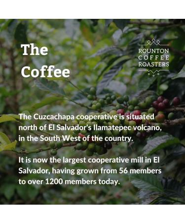 Rounton Coffee Roasters 1kg Central American El Salvador Cooperative Cuzcachapa Coffee Beans | Yorkshire Roasted 100% Arabica Espresso Beans | Speciality Coffee Bags | Fresh and Bold Flavor (1kg) - Buy Online on GoSupps.com