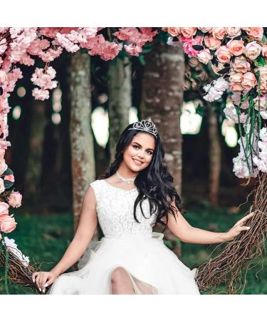 FRCOLOR Rhinestone Crystal Tiara Crown 2 Pack for Wedding, Bridal, Prom, Birthday, Pageant - Princess Tiara Headband - Buy Online on GoSupps.com