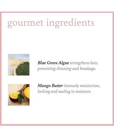 Camille Rose Algae Renew Deep Conditioning Mask - Cocoa & Mango Butter 8 oz - Buy Online on GoSupps.com