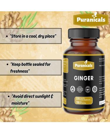 Ginger Premium 320 Capsules Non GMO and Gluten Free | Herbal Supplement | 700 mg Per Serving | Made with 100% Pure Ginger Root Powder Ginger Capsules 320 Count (Pack of 1) - Buy Online on GoSupps.com