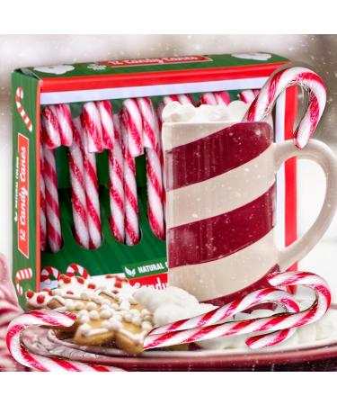 Mijoma Canmate Strawberry Candy Canes - Red/White Striped - Natural Colors - Perfect Christmas Tree Decorations & Gift Hangers - Coxy Christmas (72 x 12g) - Buy Online on GoSupps.com