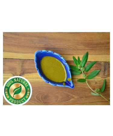 Naturix Amman Pacharisi Powder l Euphorbia Hirta Powder 100gm - Buy Online on GoSupps.com