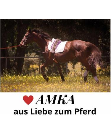 Buy AMKA Leather Cavesson with Bit Buckle - Premium Quality & Comfort for Equine Enthusiasts | International Shipping Available - Buy Online on GoSupps.com