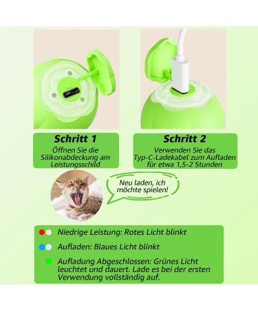 Peticularz Cat Toys - Self-Employment Electrical Powerball 2.0 | Interactive Wloom Intelligence Magic Ball for Cats - Green with Petals - Buy Online on GoSupps.com